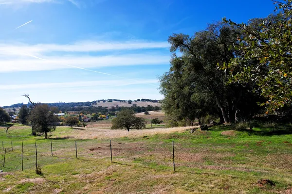 a view of a grassy field with trees in the background