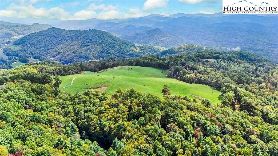 a view of a lush green hillside and a houses