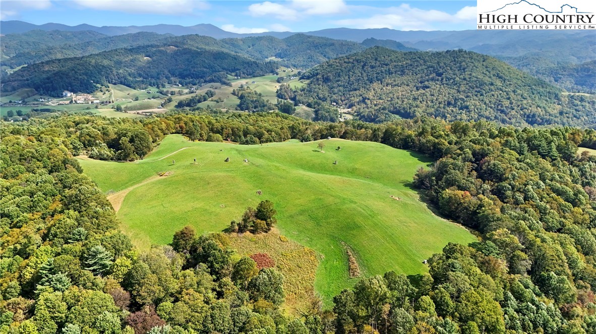 423 Beaver Dam Farm Road Vilas, NC 28692 - Photo 6 of 15