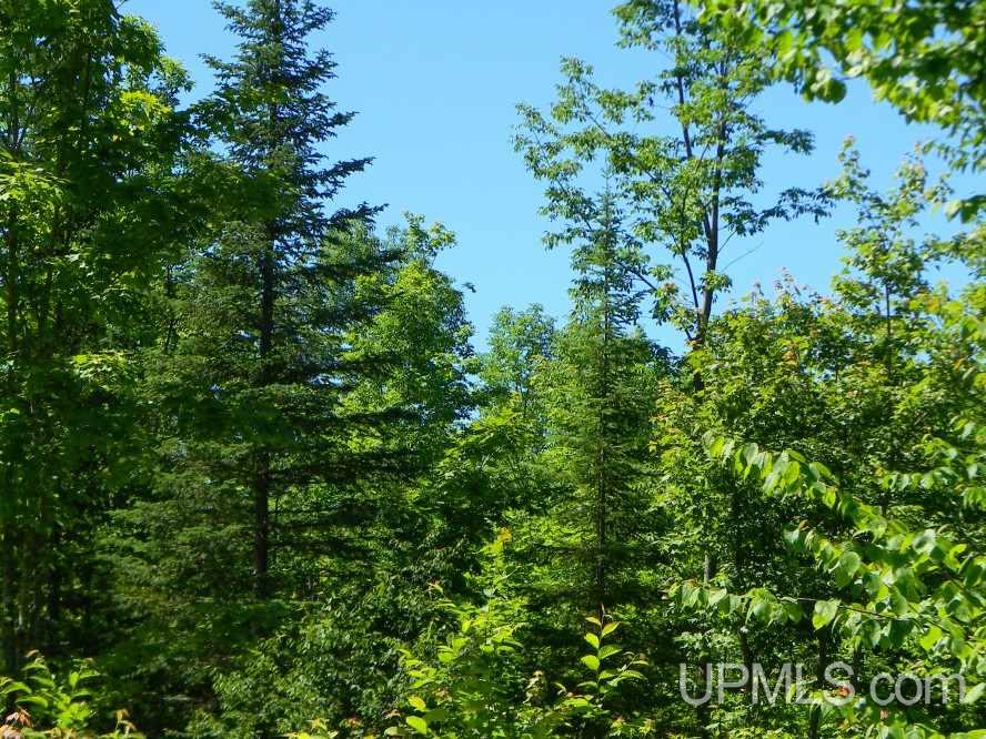Tbd Asumaa Rd 120 Acres Atlantic Mine, MI 49905 - Photo 3 of 12
