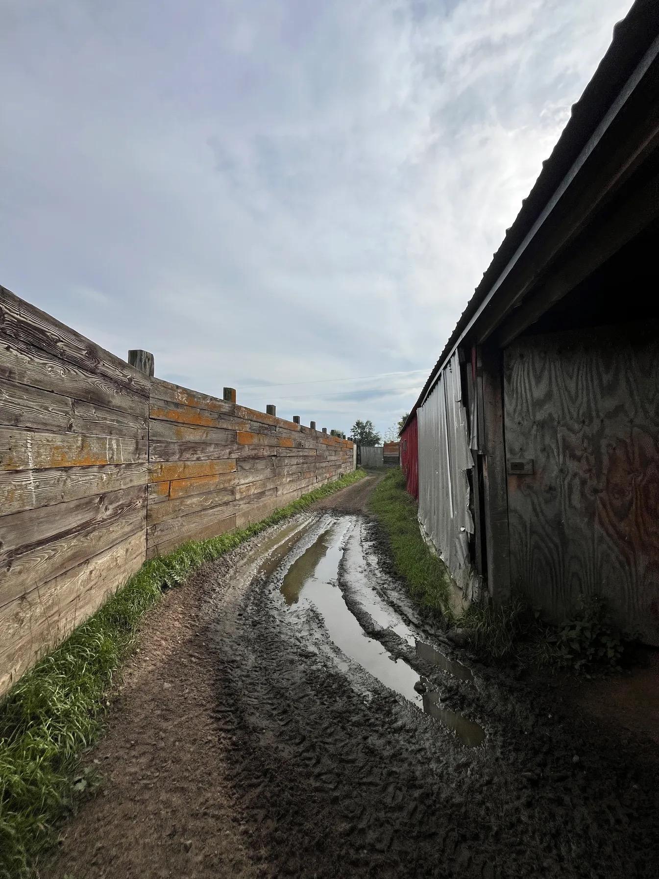 30423 Grosbeak Road Long Prairie, MN 56347 - Photo 11 of 25