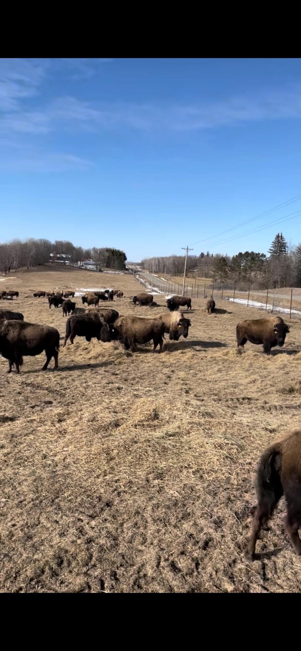 30423 Grosbeak Road Long Prairie, MN 56347 - Photo 12 of 25