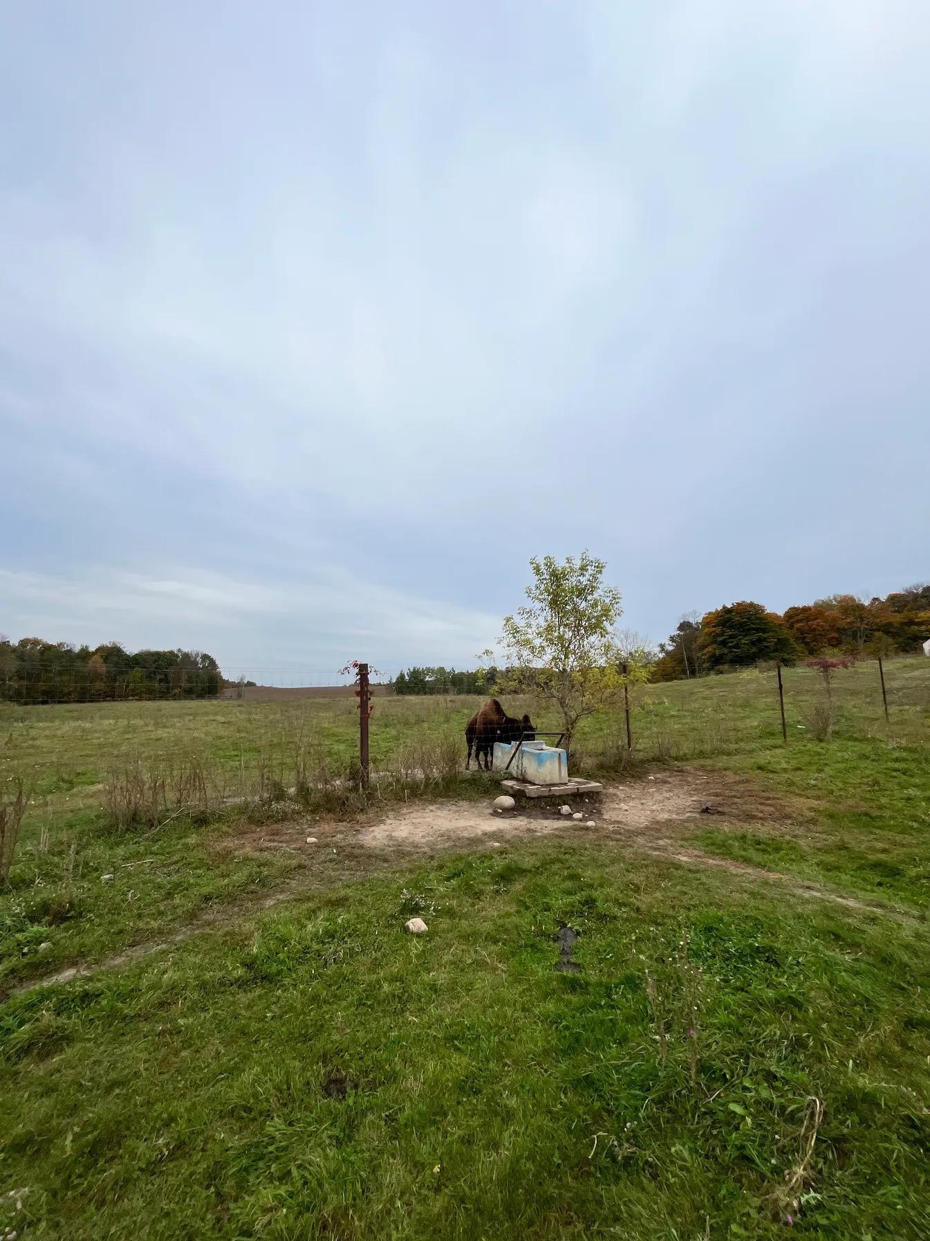30423 Grosbeak Road Long Prairie, MN 56347 - Photo 13 of 25