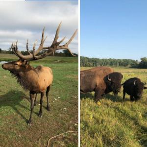 30423 Grosbeak Road Long Prairie, MN 56347 - Photo 25 of 25