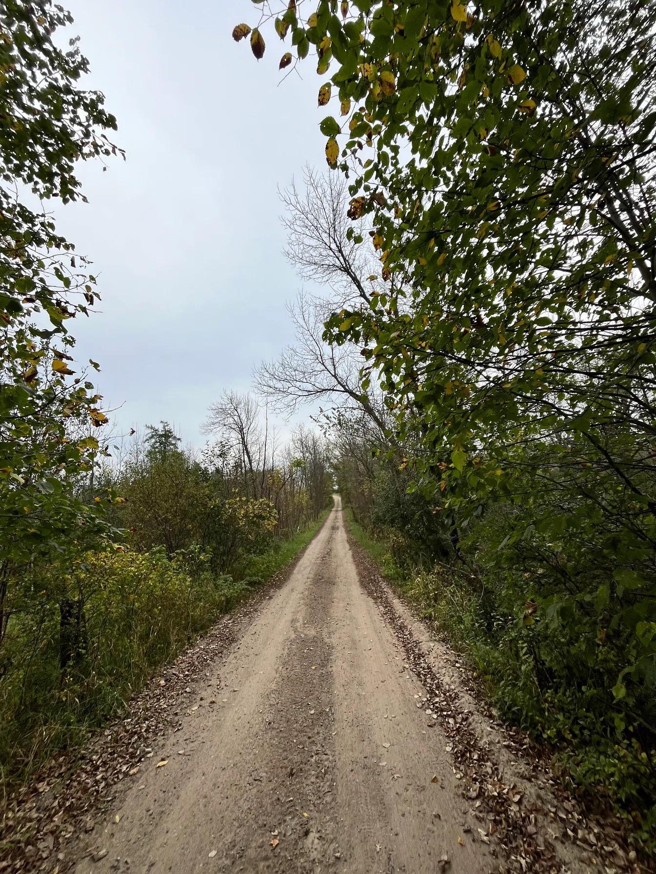 30423 Grosbeak Road Long Prairie, MN 56347 - Photo 4 of 25