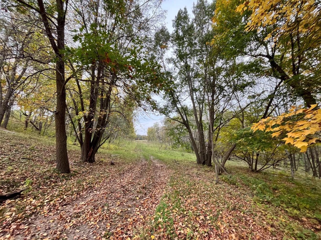 30423 Grosbeak Road Long Prairie, MN 56347 - Photo 5 of 25