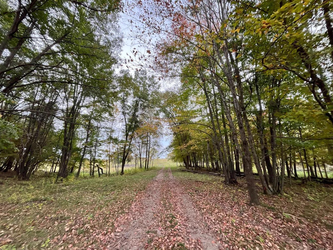 30423 Grosbeak Road Long Prairie, MN 56347 - Photo 7 of 25