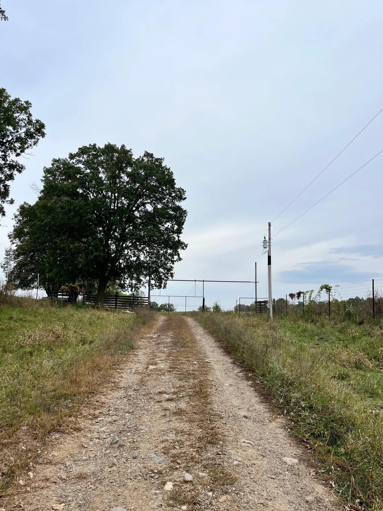 30423 Grosbeak Road Long Prairie, MN 56347 - Photo 8 of 25