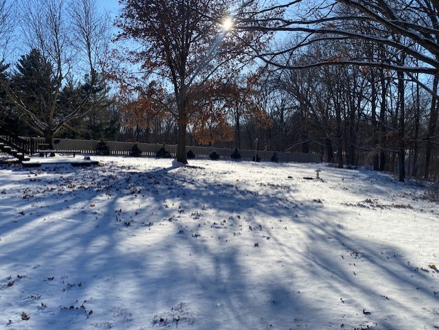 2280 Timber Ridge Drive Princeton, IL 61356 - Photo 18 of 20 a street view covered with snow