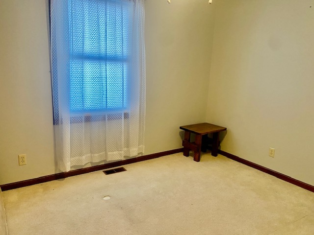 2280 Timber Ridge Drive Princeton, IL 61356 - Photo 7 of 20 a view of a room with wooden wall and window