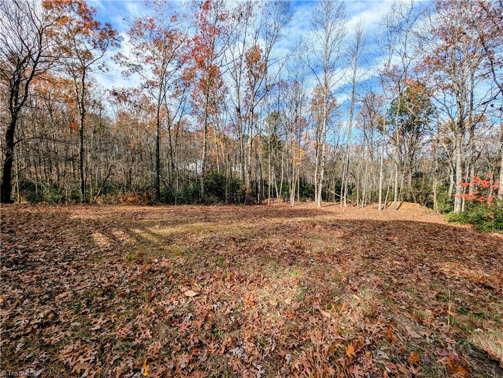 152 Paynetown Road Mount Airy, NC 27030 - Photo 14 of 16 Gallery Image 14