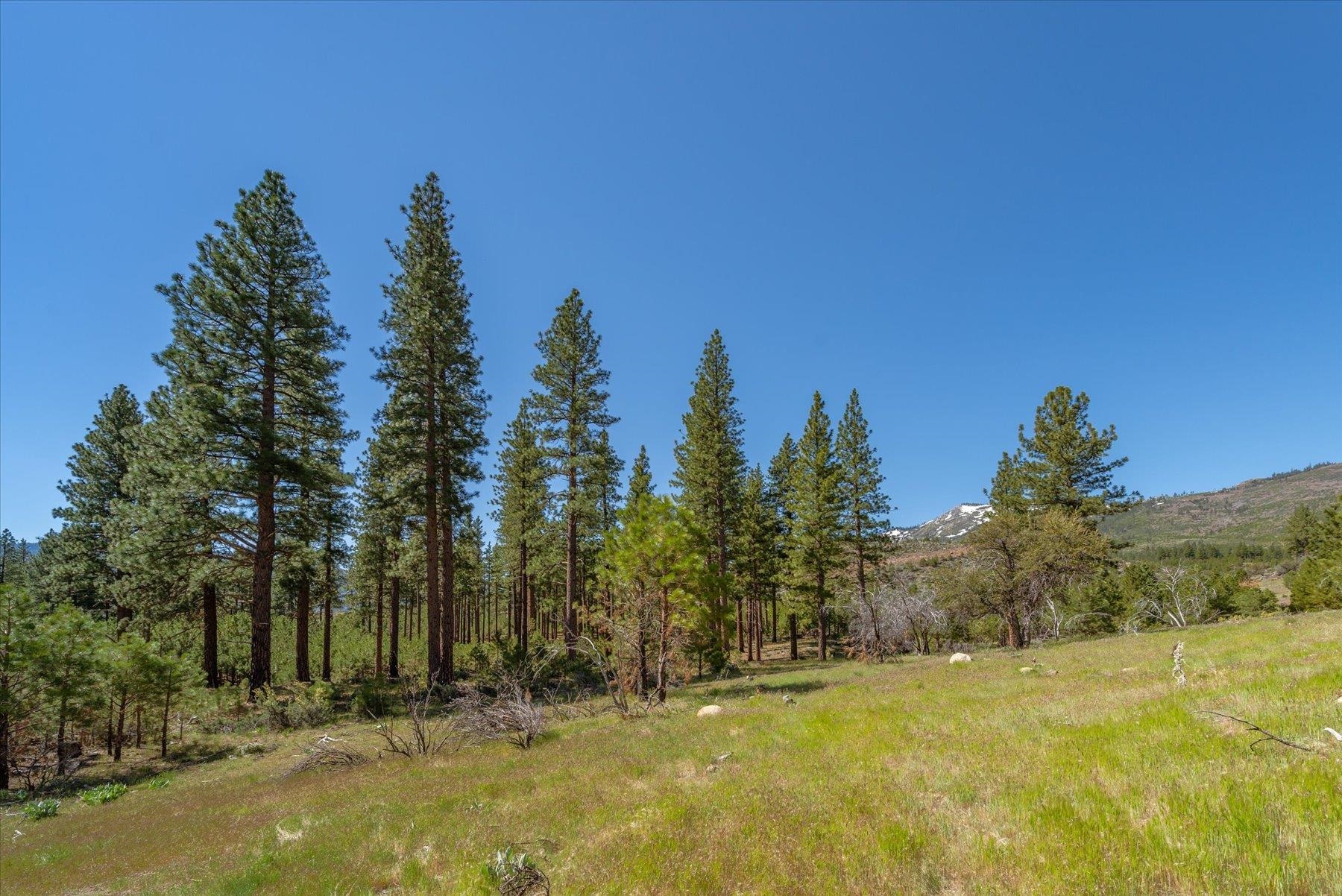 Feenune Road Loyalton, CA 96118 - Photo 12 of 28