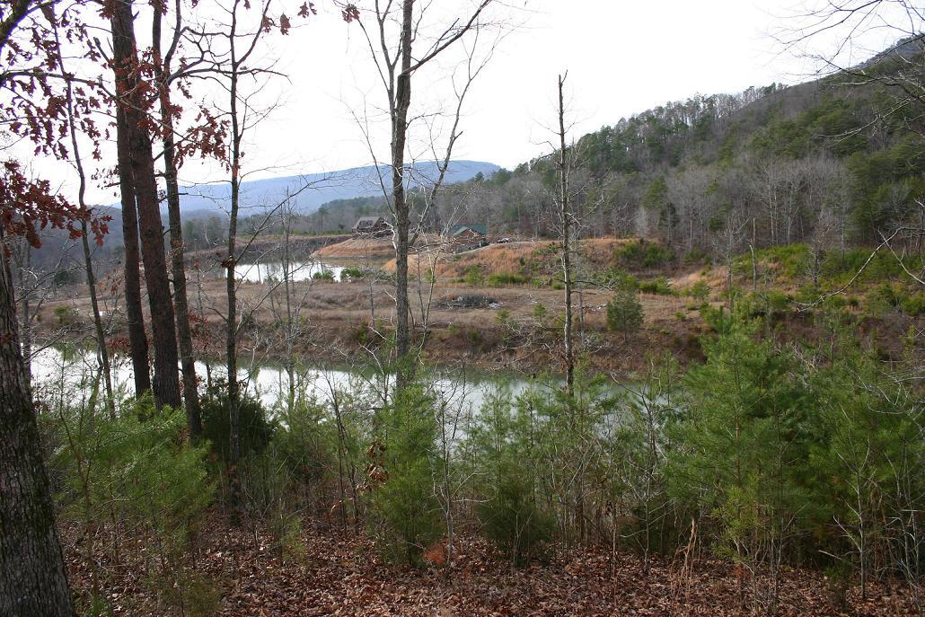 562 Lakeview Drive Rising Fawn, GA 30738 - Photo 1 of 22 LakefrontLot8