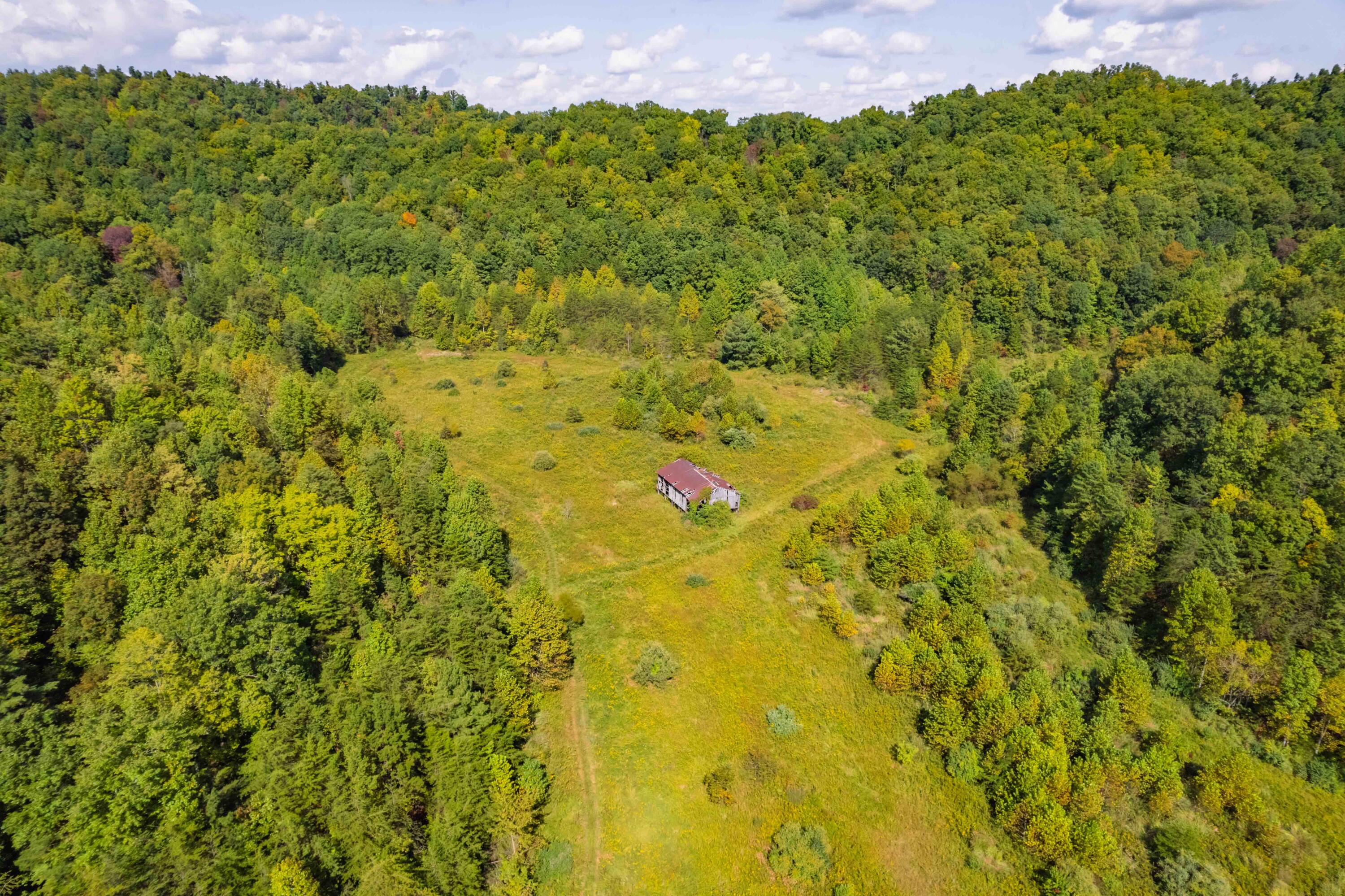 9999 Swafford Branch Cemetery Road Manchester, KY 40962 - Photo 19 of 33 DJI_005516