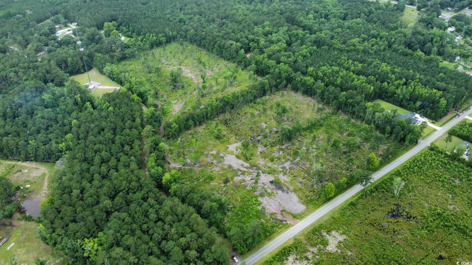 22.66 Berley Mc Road Conway, SC 29526 - Photo 5 of 7 View of property location featuring a heavily wooded area and property parcel outlined