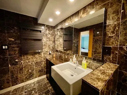 $3,500 | 1221 North Dearborn Street, Unit 804S, Chicago, IL 60610