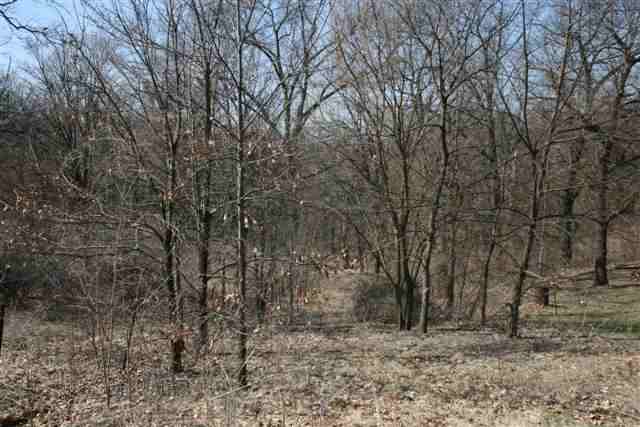 Rr East Alconbury Road Metamora, IL 61548 - Photo 1 of 1 Gallery Image 1