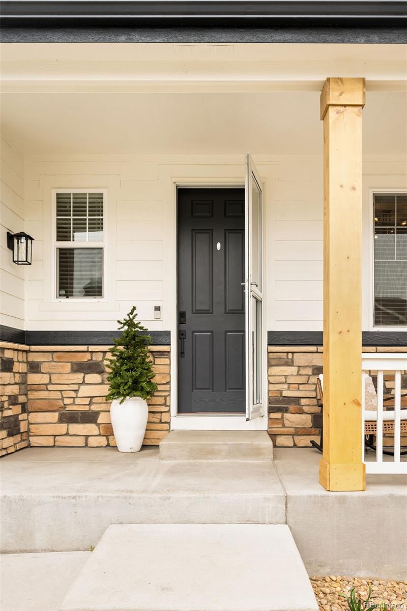 3065 Rising Moon Way Castle Rock, CO 80109 - Photo 3 of 47