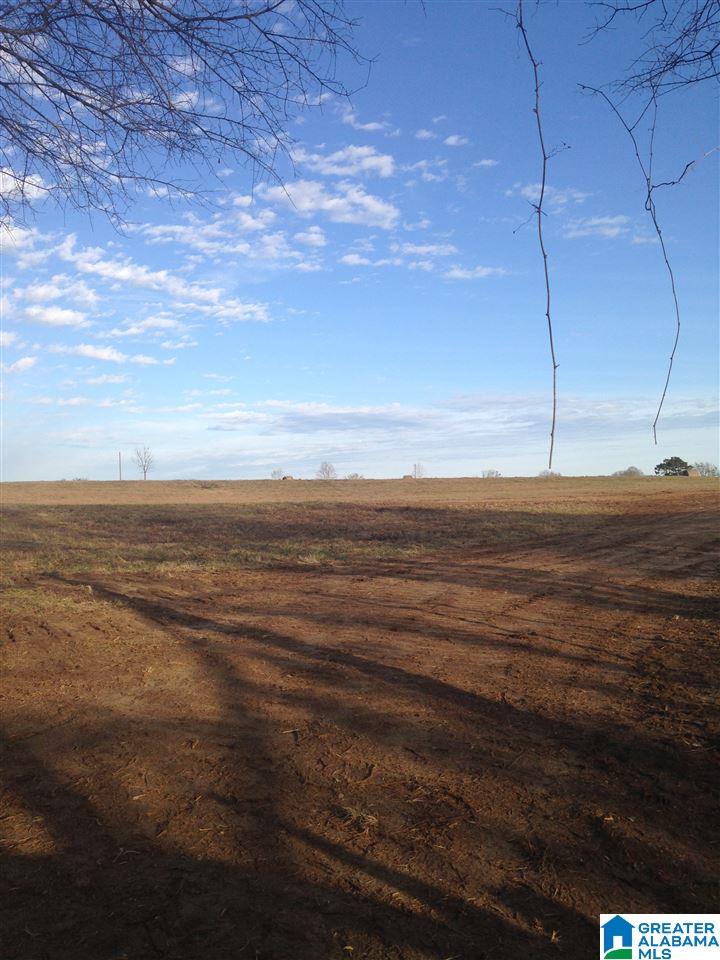 0 County Road 407 Clanton, AL 35045 - Photo 6 of 7