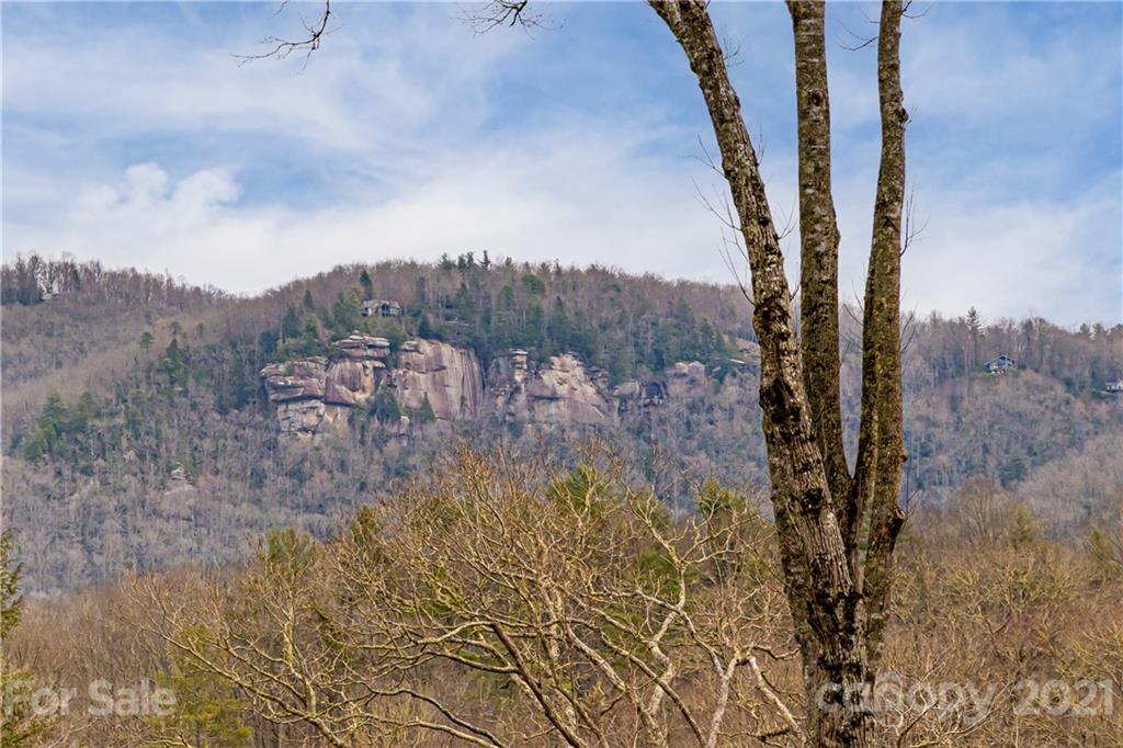 3903 Island Ford Road Brevard, NC 28712 - Photo 26 of 48 Gallery Image 26