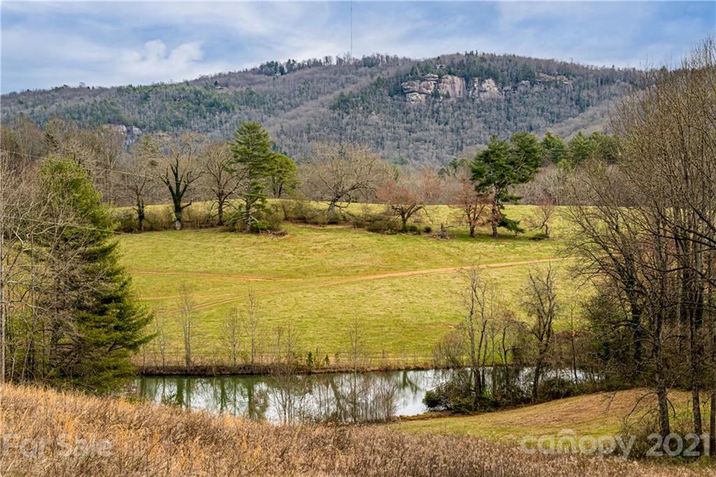 3903 Island Ford Road Brevard, NC 28712 - Photo 43 of 48 Gallery Image 43