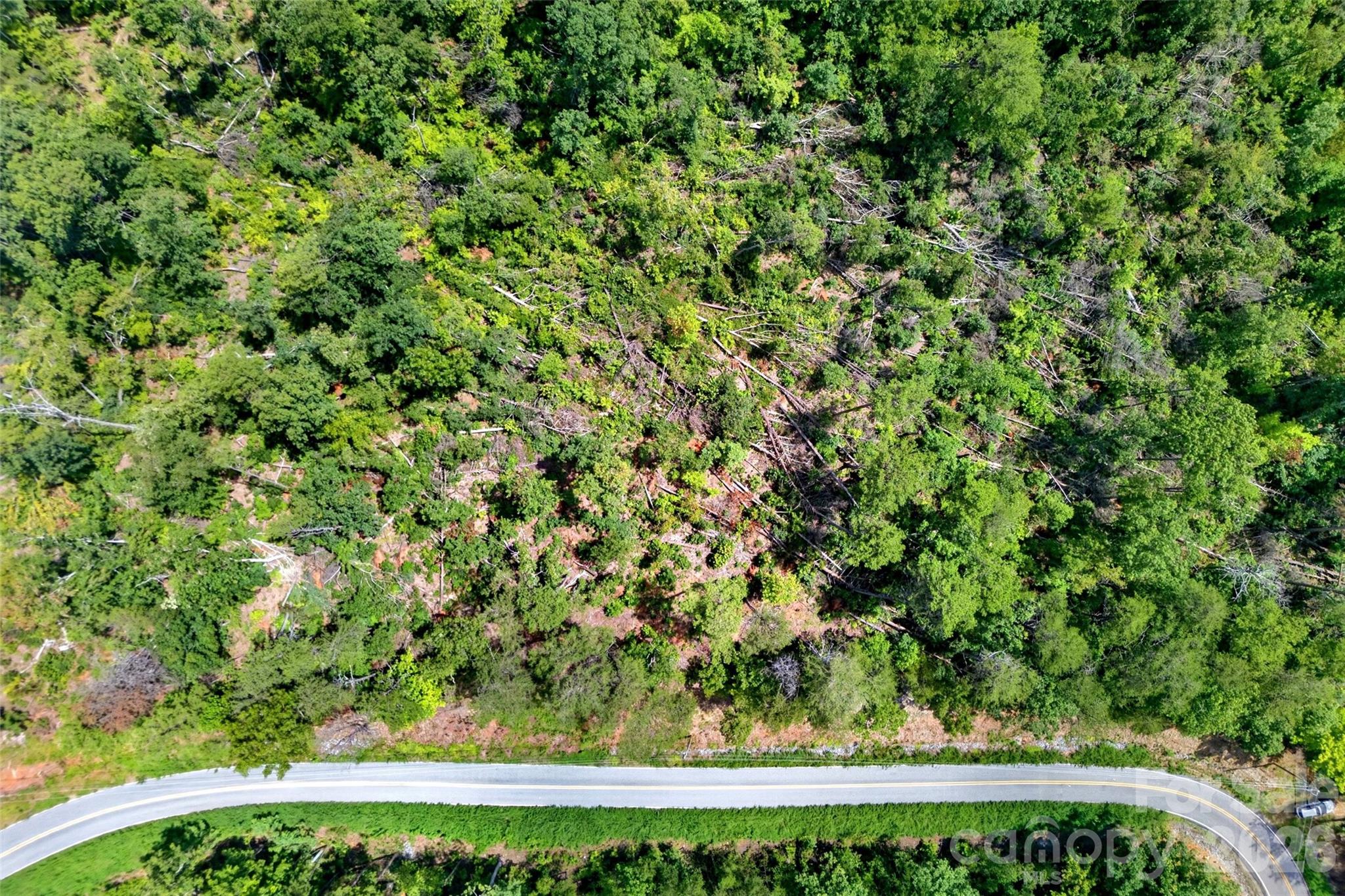 Tbd Antioch Road Lake Lure, NC 28746 - Photo 16 of 30 Gallery Image 16