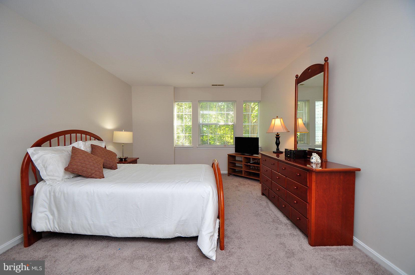 8399 Montgomery Run Road, Unit B Ellicott City, MD 21043 - Photo 6 of 22 Bedroom (Master)