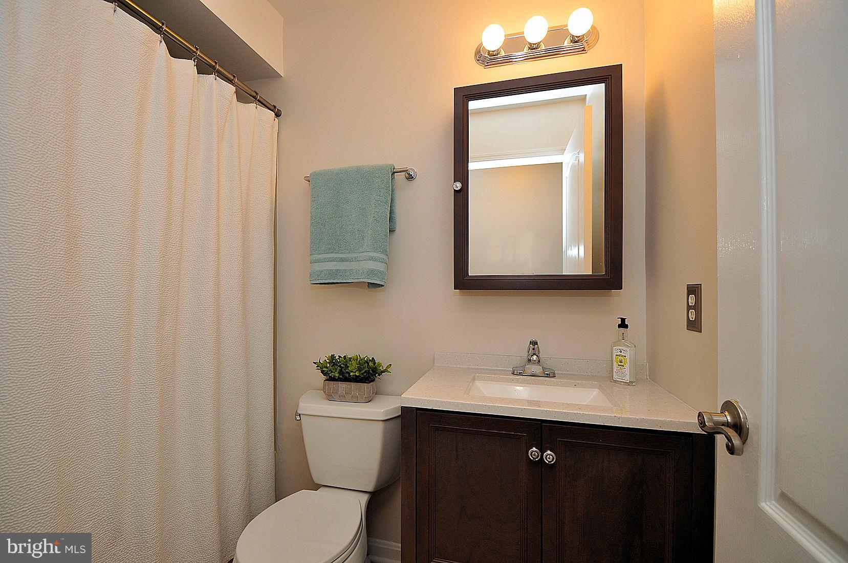 8399 Montgomery Run Road, Unit B Ellicott City, MD 21043 - Photo 10 of 22 Updated Hall Bath
