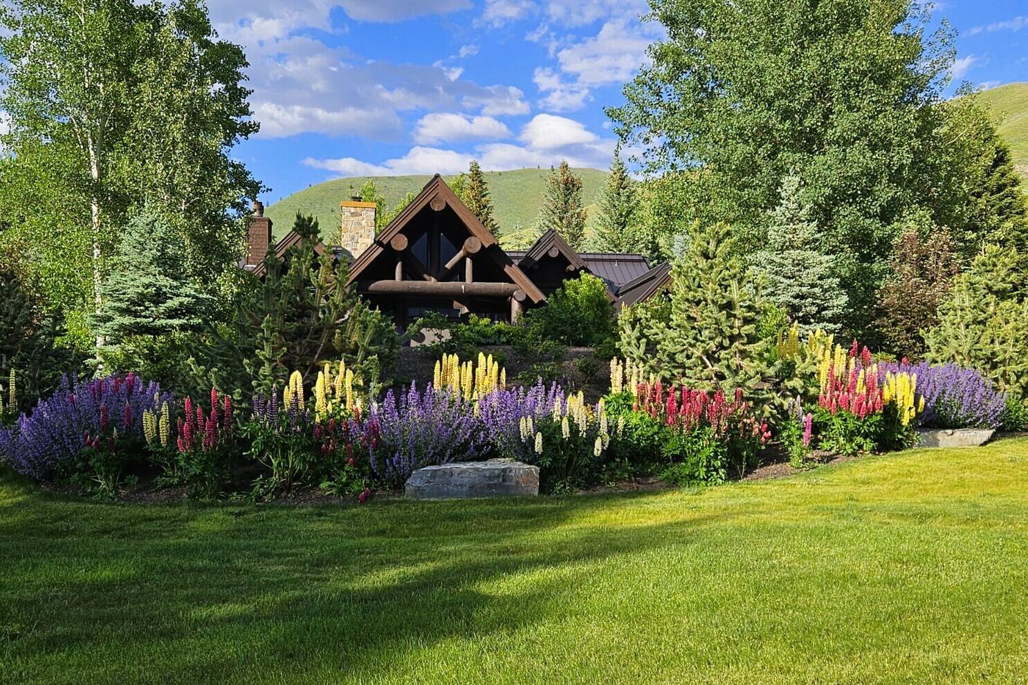 Set Among Lovely Gardens
