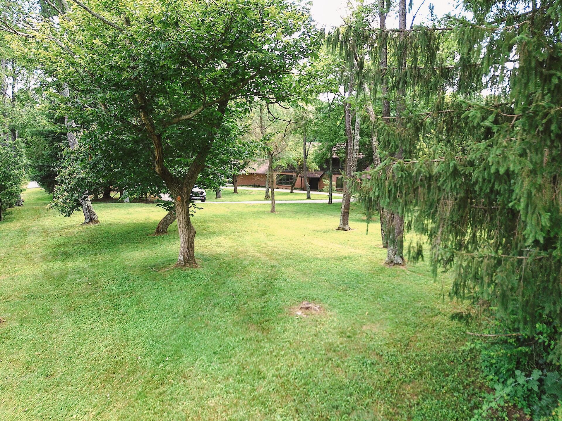 8870 Olentangy River Road Powell, OH 43065 - Photo 3 of 61 DJI_0949_(3)