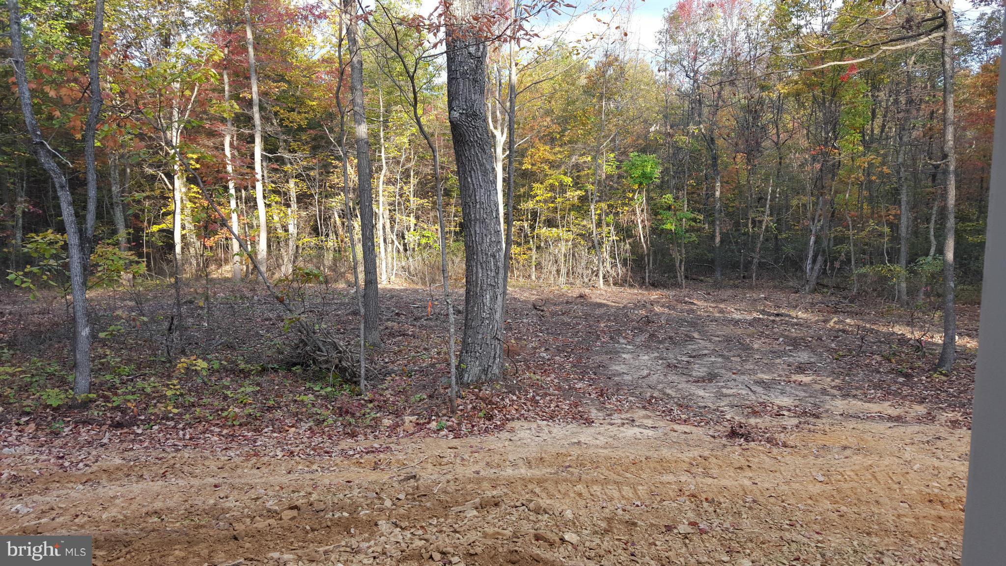 Fairview Church Road Gore, VA 22637 - Photo 22 of 29 View