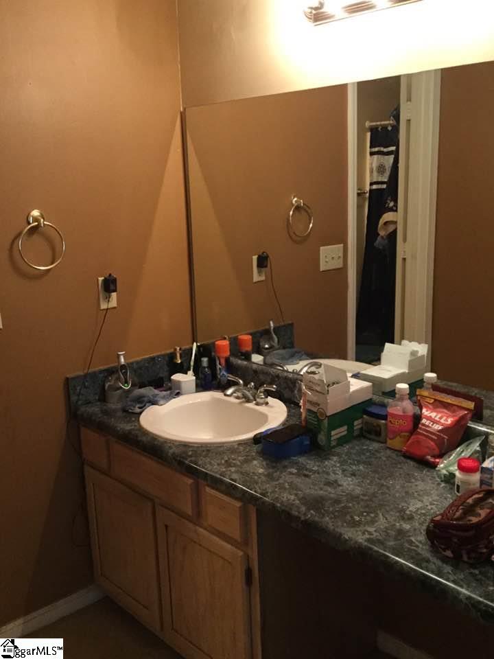 235 Milky Way Greer, SC 29651 - Photo 22 of 23 Gallery Image 22