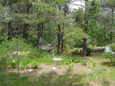 Undisclosed Address Eastham, MA 02642 - Photo 10 of 11 Additional Photo