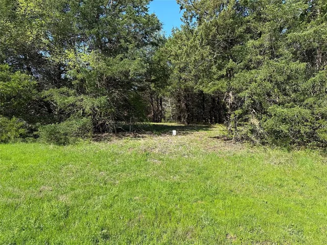 a view of outdoor space with deck and yard