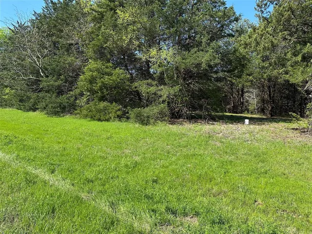 a view of outdoor space with deck and yard