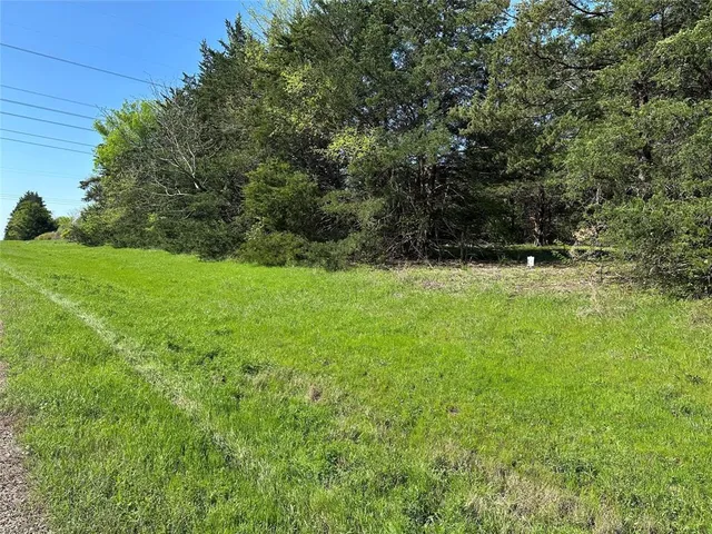 a backyard of a house with lots of plants and tree