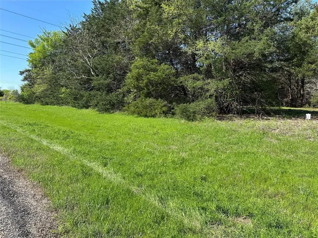 a view of yard with green space