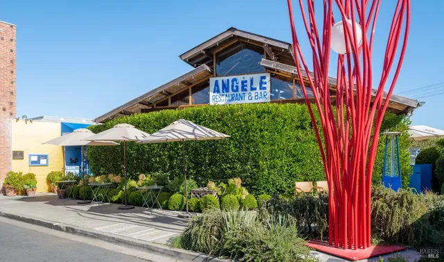 a view of a garden with an umbrella and potted plants