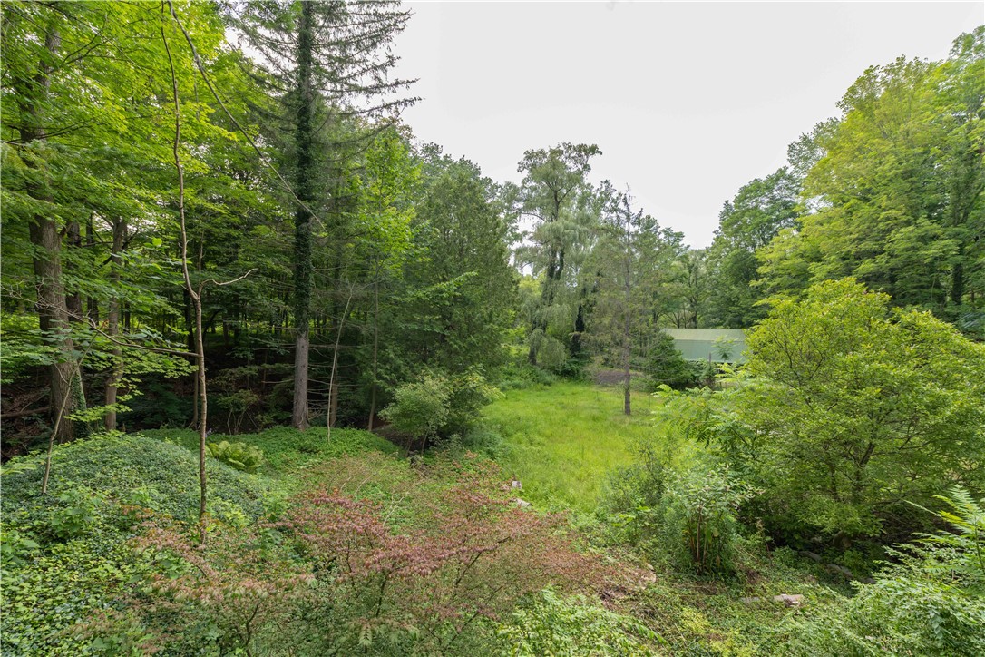 97 Gurnee Road Manchester, NY 14513 - Photo 41 of 46