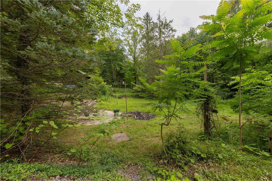 97 Gurnee Road Manchester, NY 14513 - Photo 45 of 46