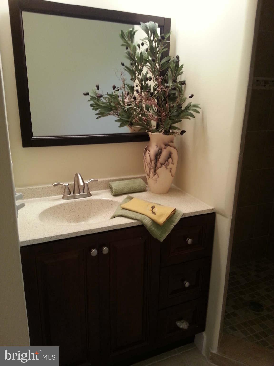 502 Blue Ridge Avenue Northeast Leesburg, VA 20176 - Photo 14 of 26 Bath