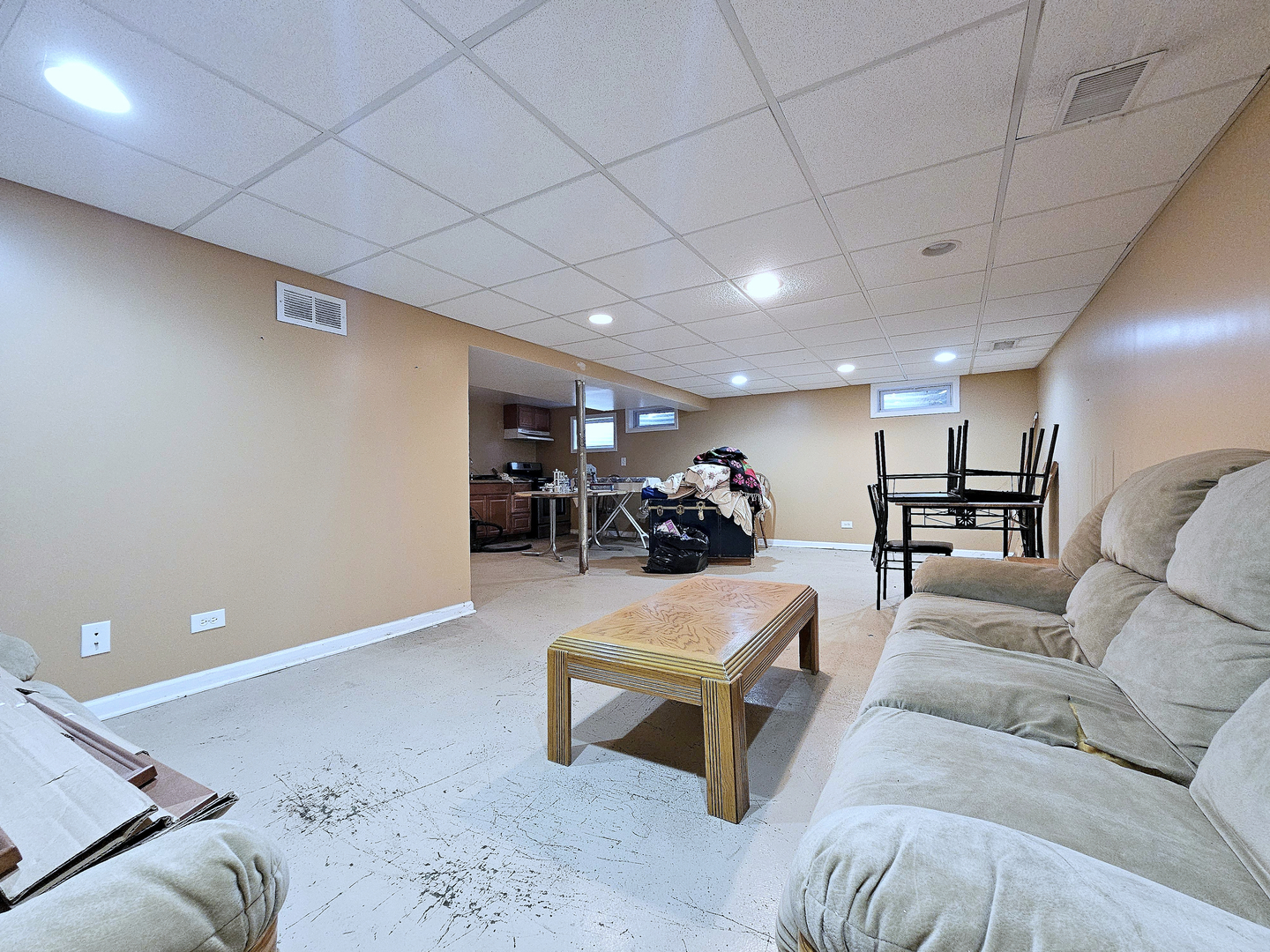 357 North Pioneer Drive Addison, IL 60101 - Photo 16 of 26 a living room with furniture and a potted plant