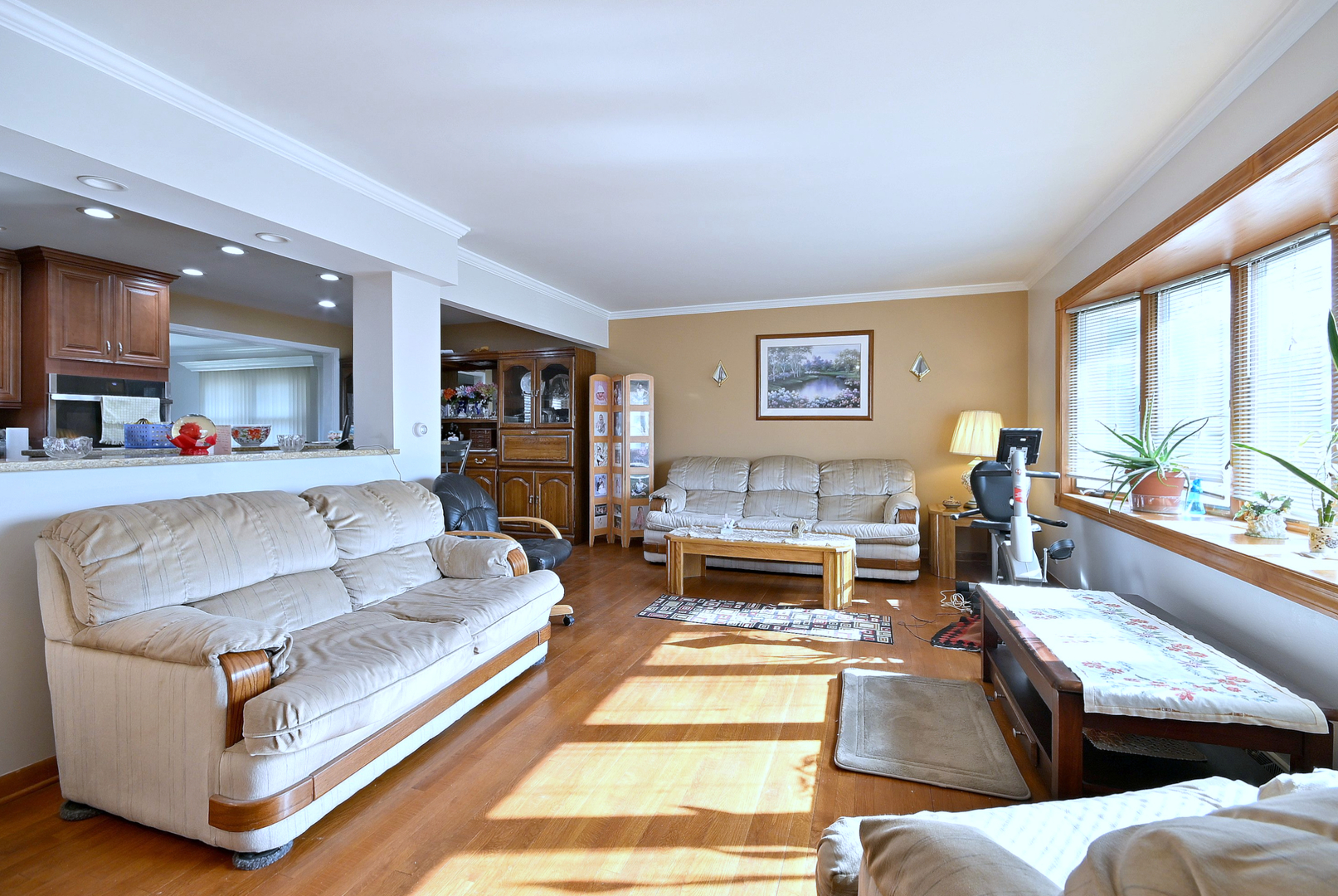 357 North Pioneer Drive Addison, IL 60101 - Photo 4 of 26 a living room with furniture and a large window