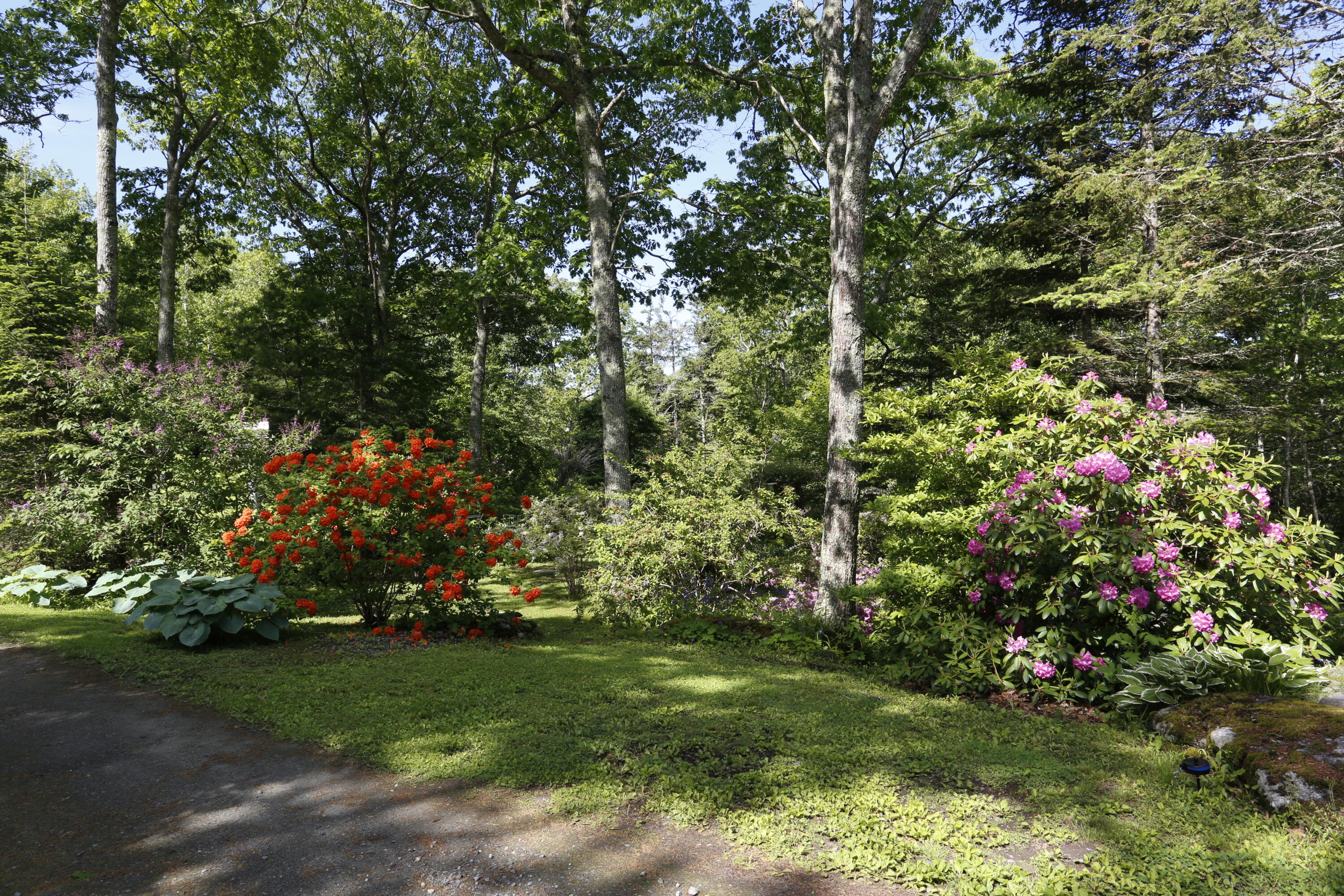 36 Granite Hill Road Pemaquid, ME 04558 - Photo 11 of 134 _S1A0141