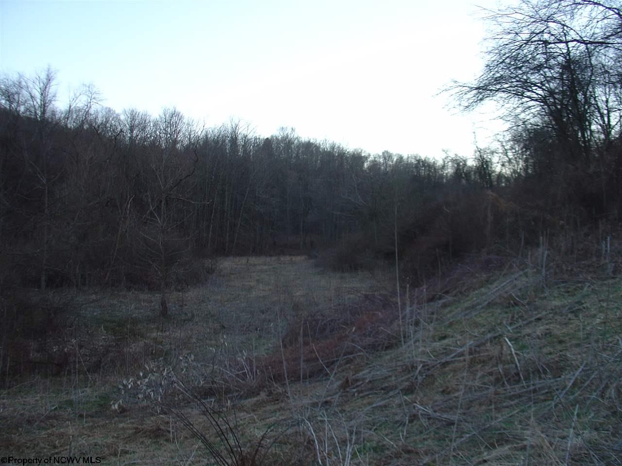 4560 Fairmont Road Rivesville, WV 26588 - Photo 4 of 5 Gallery Image 4