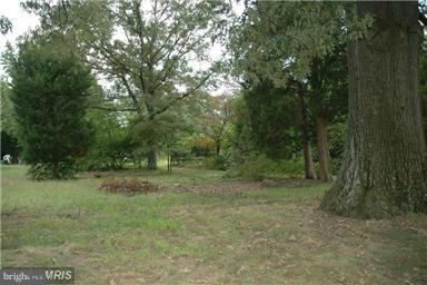 455 Cedar Haven Road Arnold, MD 21012 - Photo 14 of 30 View of Lot.