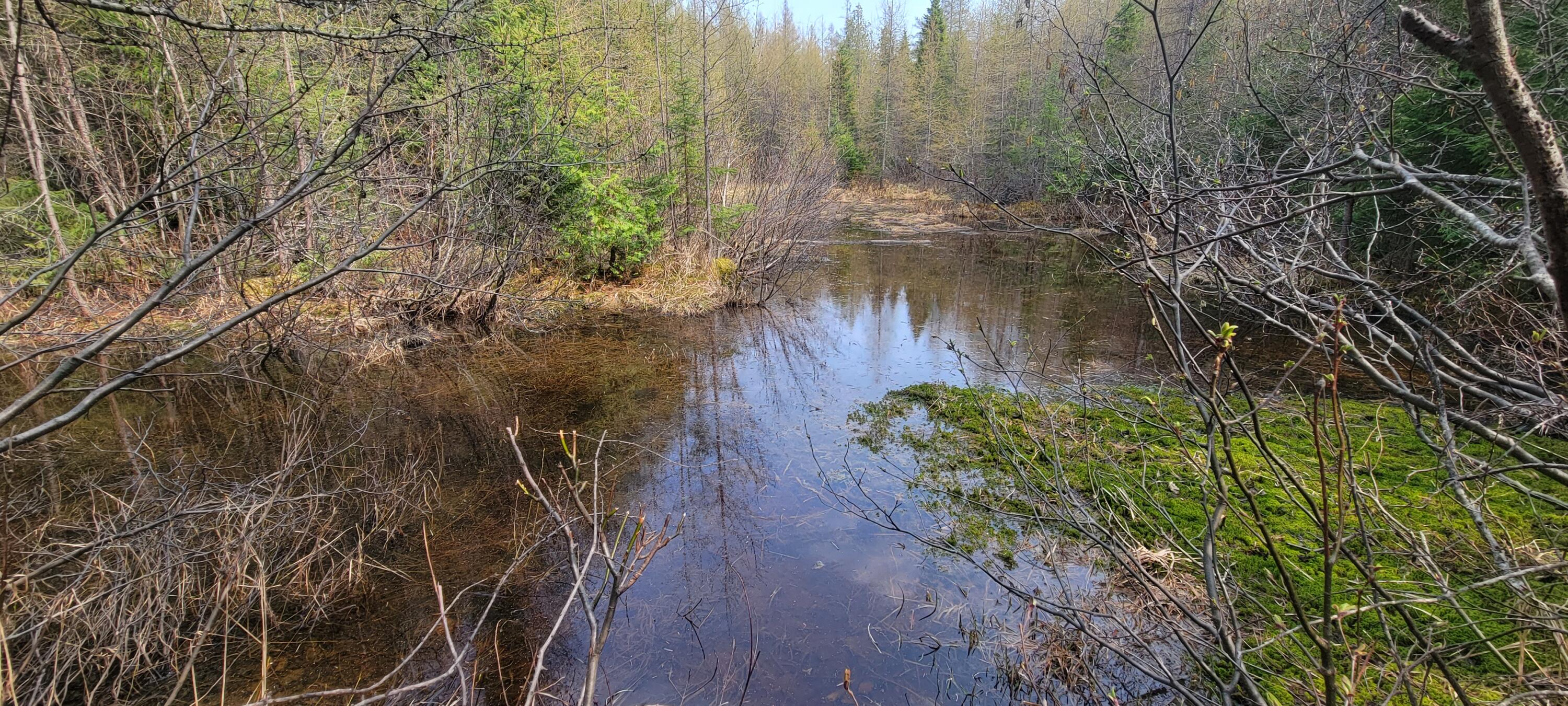Map32-lot1 Doucette Road Grand Isle, ME 04746 - Photo 5 of 7 20230511_150123