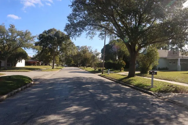 a view of yard with tree s