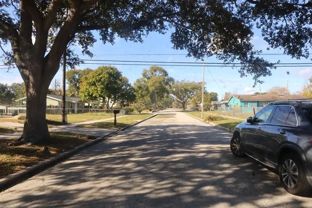 a view of yard with large tree