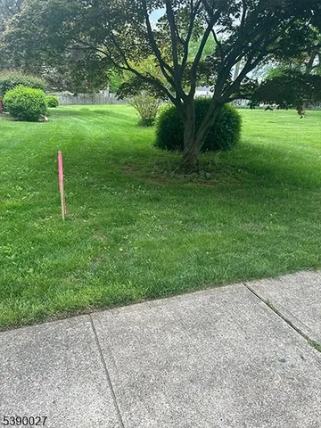 a view of a garden with a slide